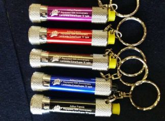 TORCH KEY FOB - VARIOUS COLOURS SELECT RED, BLUE, PURPLE, GUNMETAL, BLACK