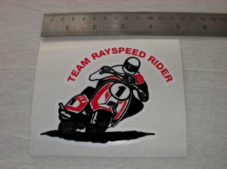 STICKER TEAM RAYSPEED MEDIUM (H-90MM W-115MM)