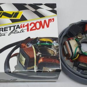 Uni 120W Stator Plate Electronic 12V