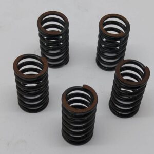 PYTHON CLUTCH SPRINGS WILL ALSO FIT AF ROAD CLUTCH (6T) 18.5MM OD